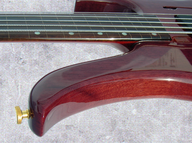 5string fretless