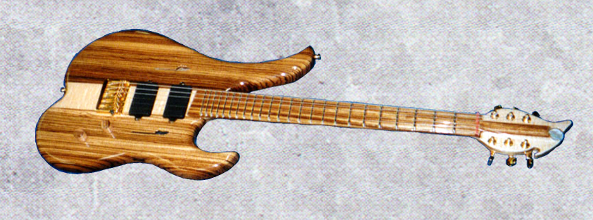 zebra guitar